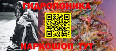 прущие крисы Волжск