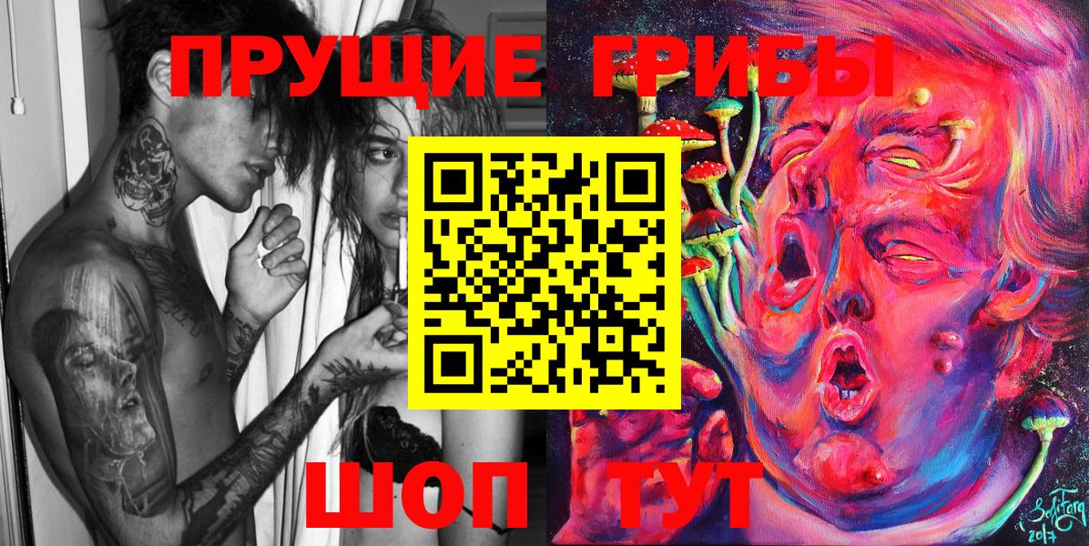 Дятьково  Псилоцибиновые грибы MAGIC MUSHROOMS  Вход с VPN  Псилоцибиновые грибы GOLDEN TEACHER 
